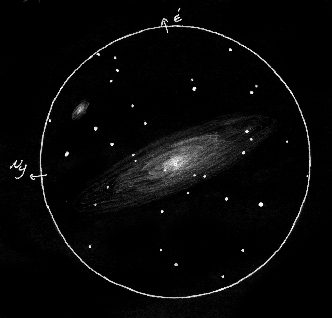 M31