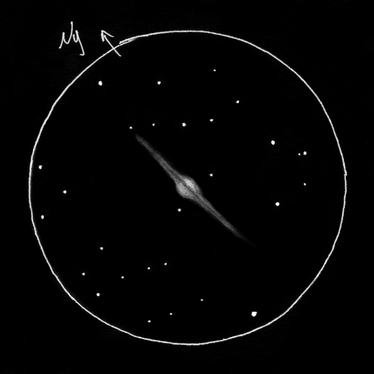 NGC4565