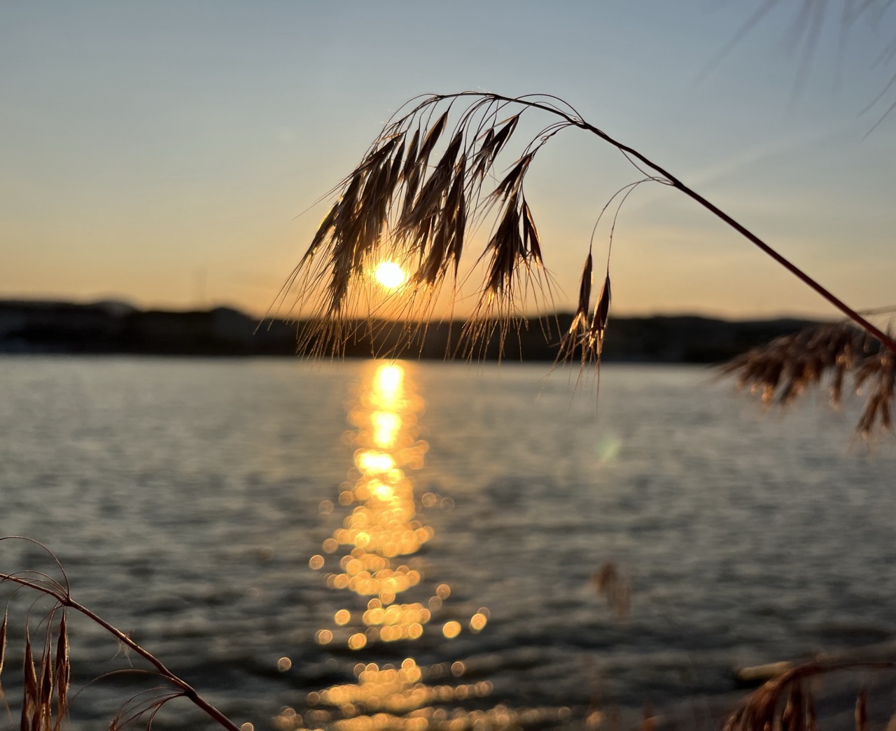 Touch the Sun