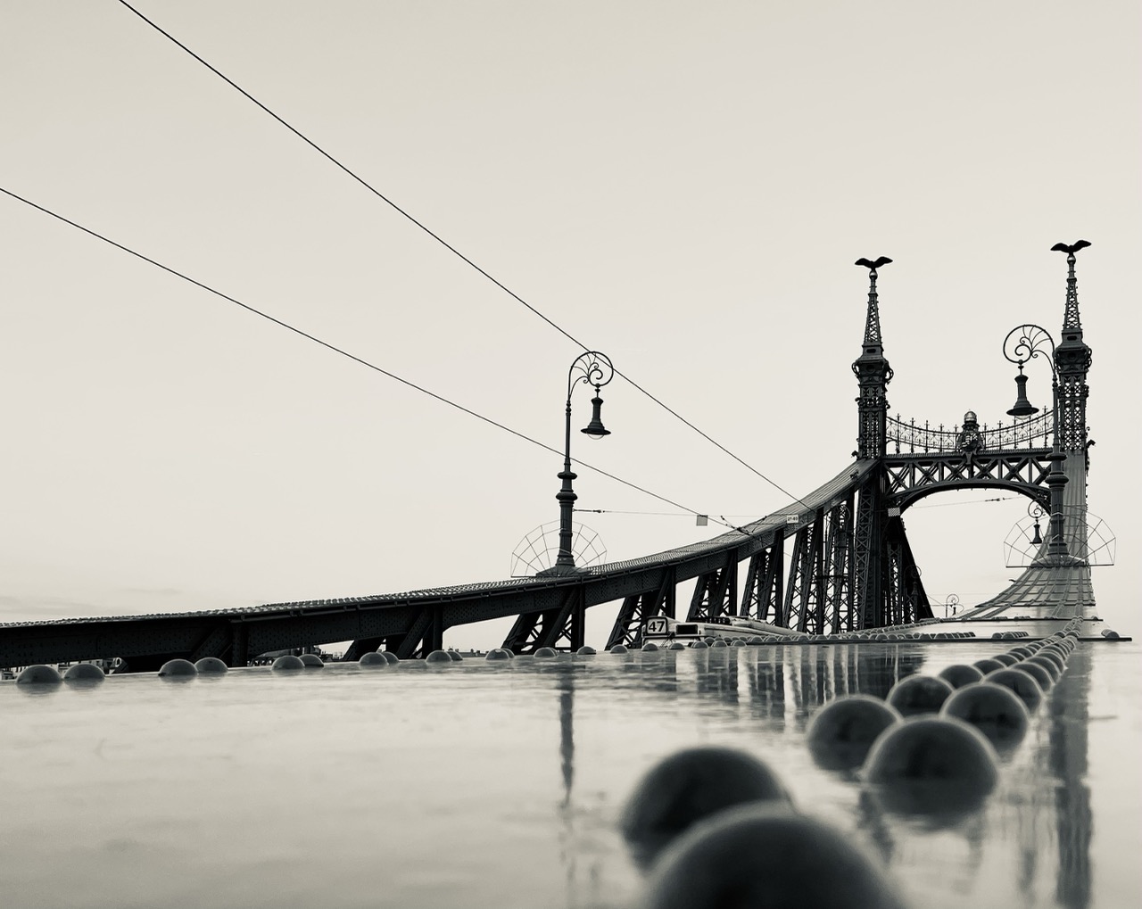 Bridge of freedom