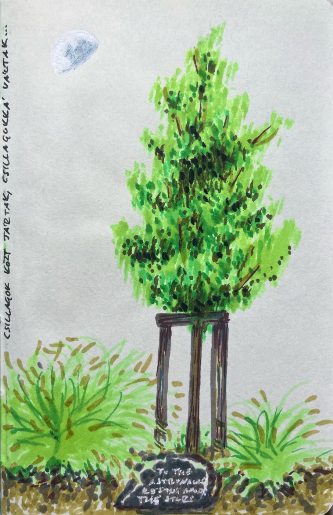 Astronaut tree 2025